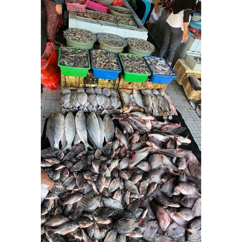 

ikan hijau, kepiting , kerang kulit, mujaer , ikan kembung