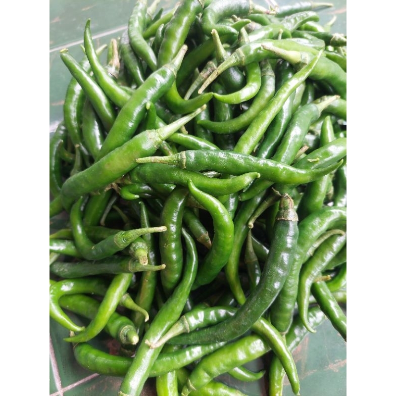 

Cabe Besar Hijau 1000gr