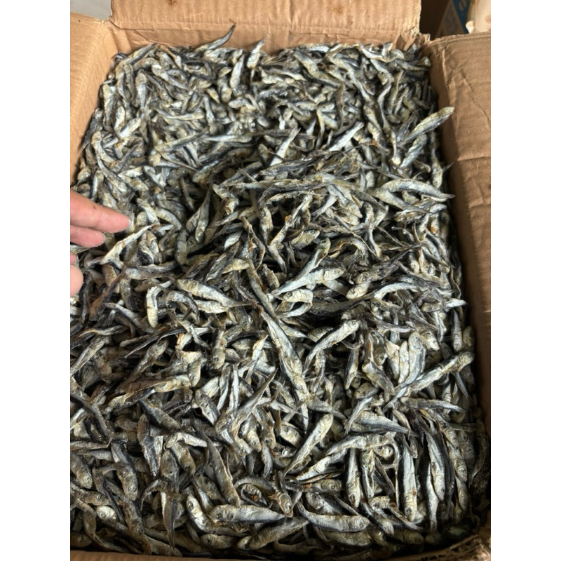 

Ikan Asin Teri Batu / Teri Hitam / Teri Samenit 500gr
