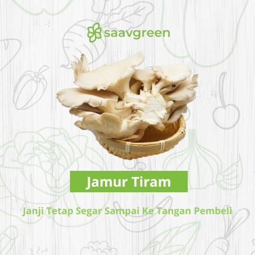 

Jamur Tiram Segar