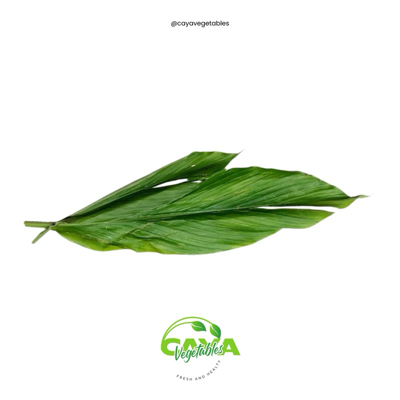 

Daun Kunyit (Curcuma Longa) Fresh | CayaVegetables