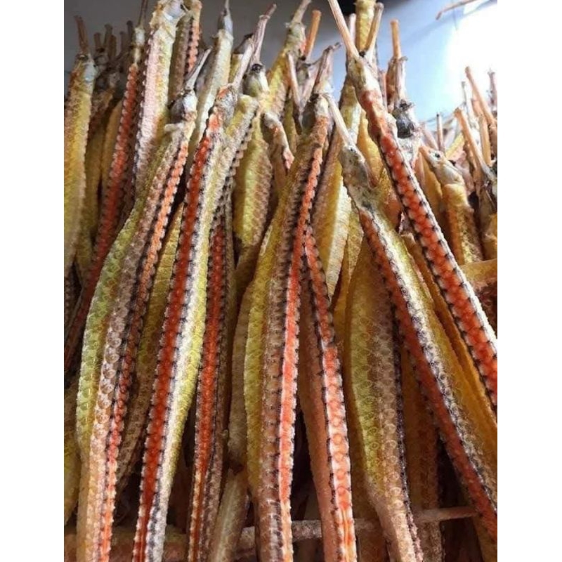 Hai Long Naga Laut kering Grade A