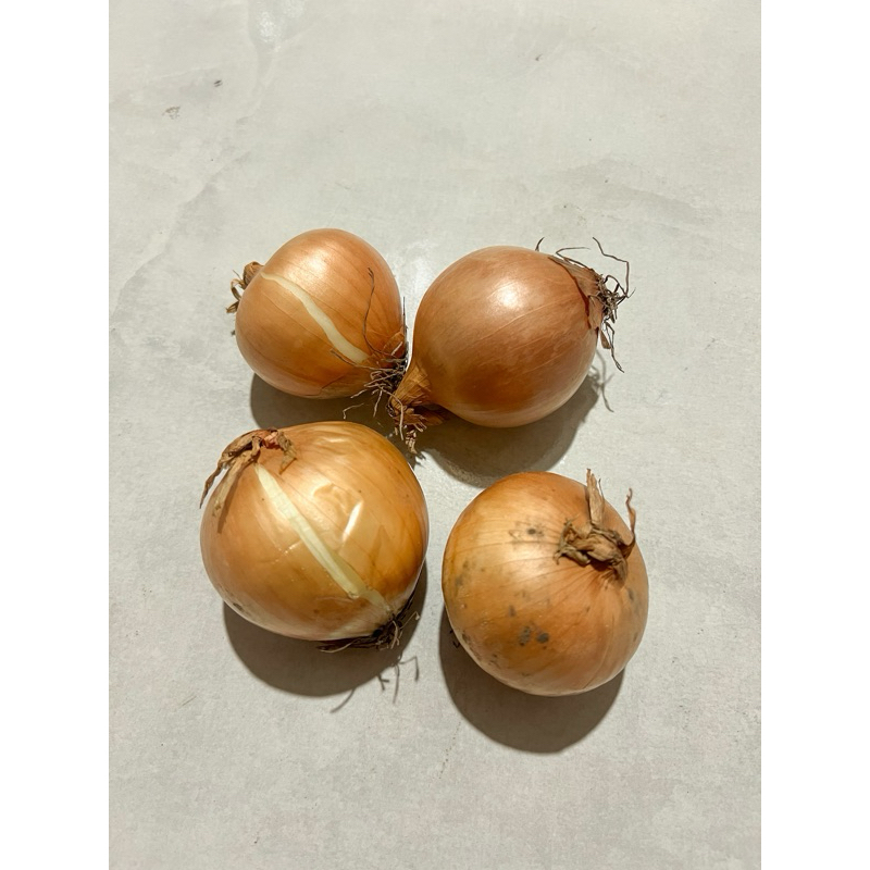

Bawang Bombay 1Pcs