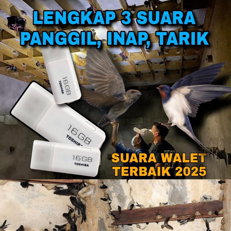 Suara Walet Terbaik tahun 2025 (GRATIS ONGKIR) + BONUS BIANG Parfum 30 Liter