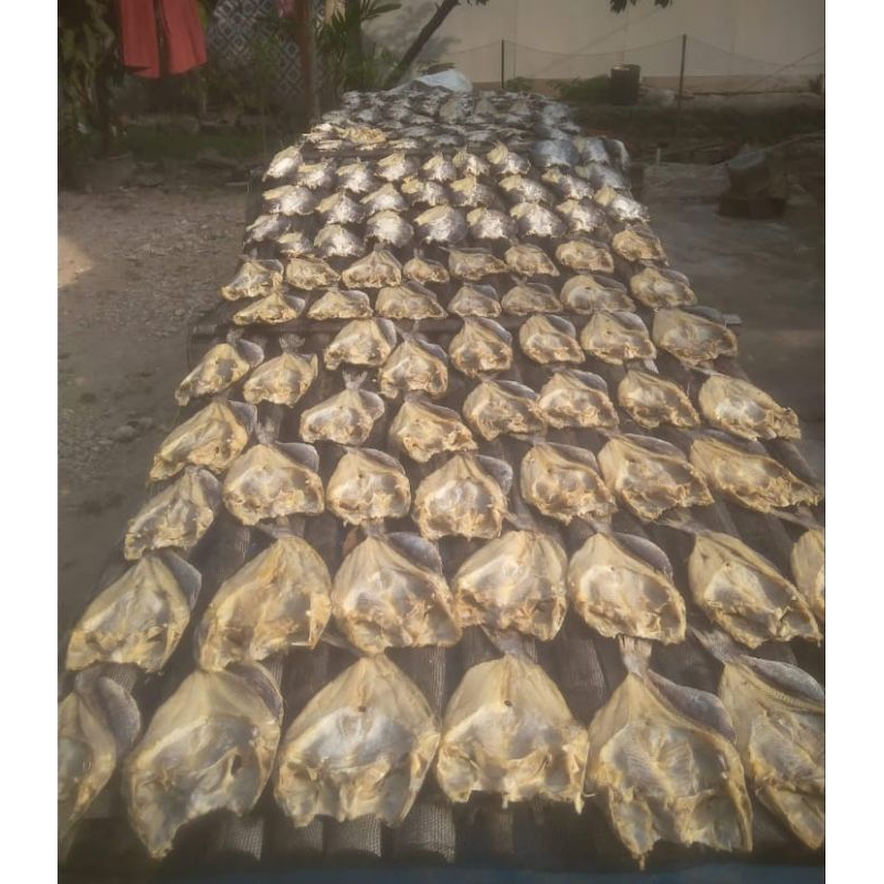 

ikan asin jambal roti