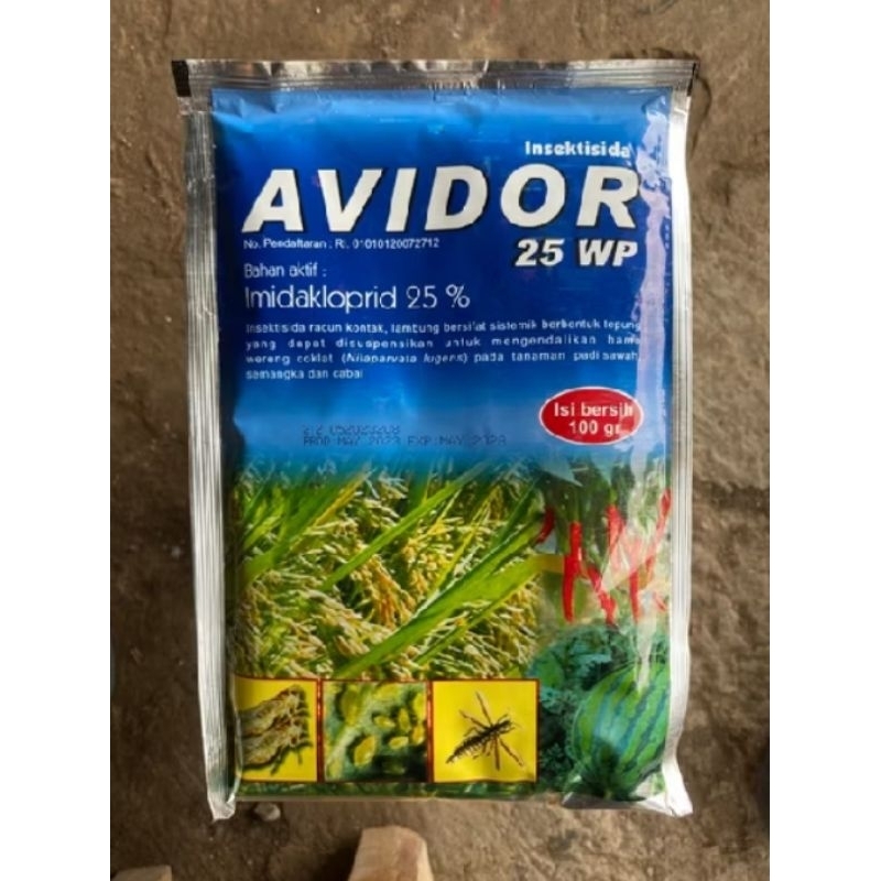 AVIDOR 25wp 100 gʻrm