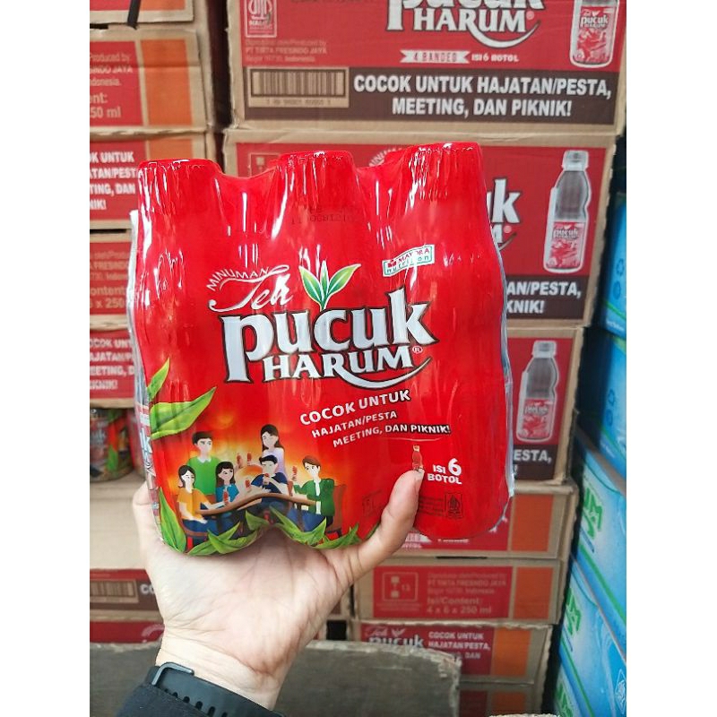 

PUCUK KECIL 250ML ISI 24