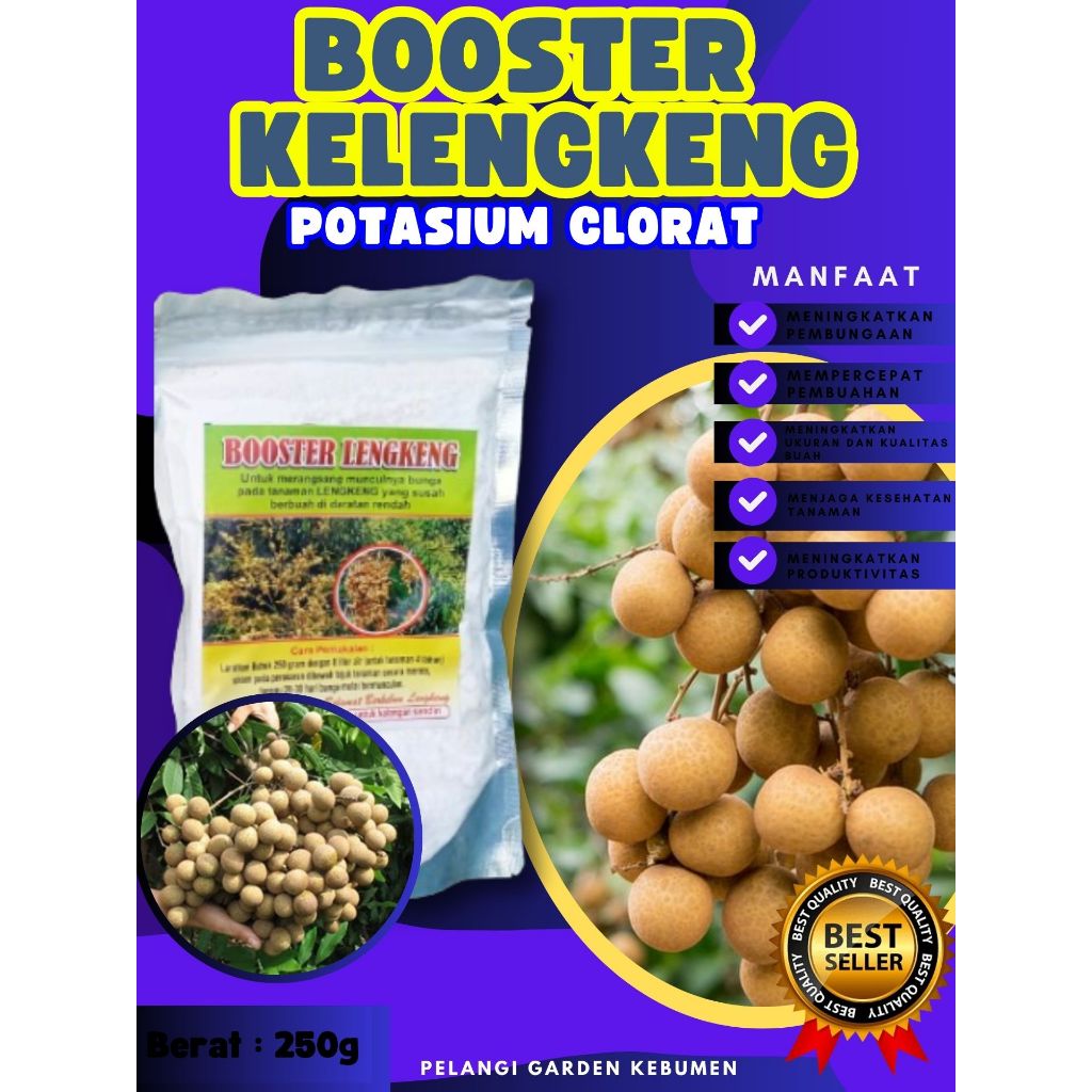 TERBAIK  Booster Kelengkeng Bubuk, Booster Kelengkeng Berbuah, Booster Kelengkeng Berbunga
