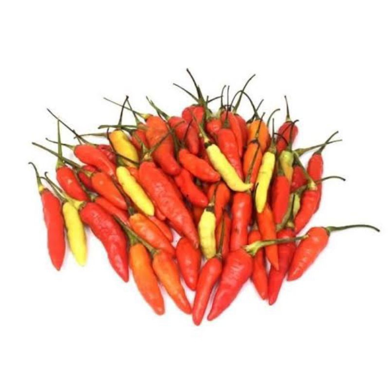 

1.Cabe / Cabai Rawit Merah [1Kg]