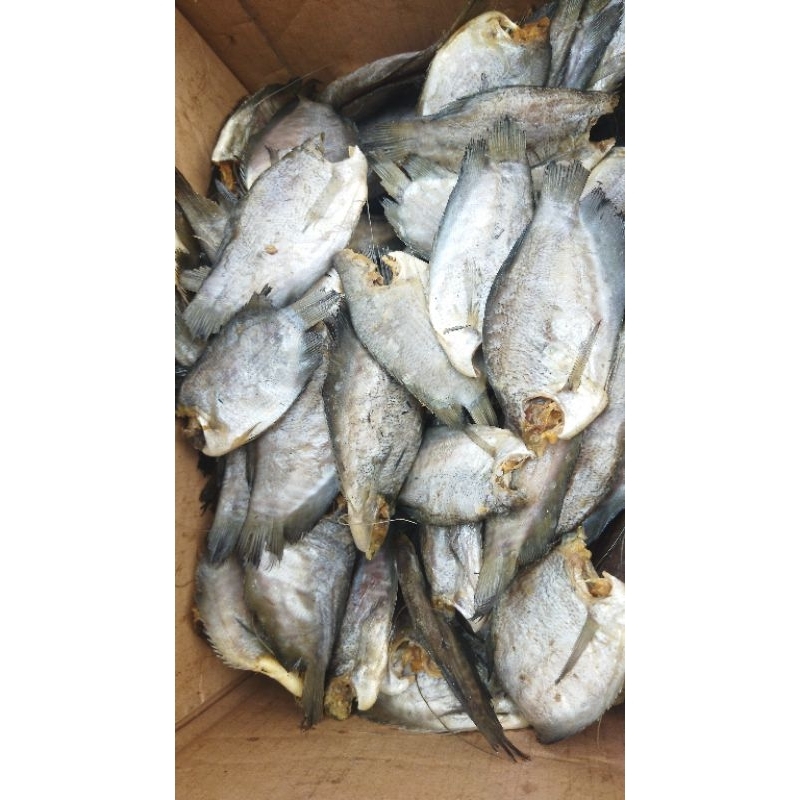 

Ikan Asin Sepat Abang Sayur Lampung