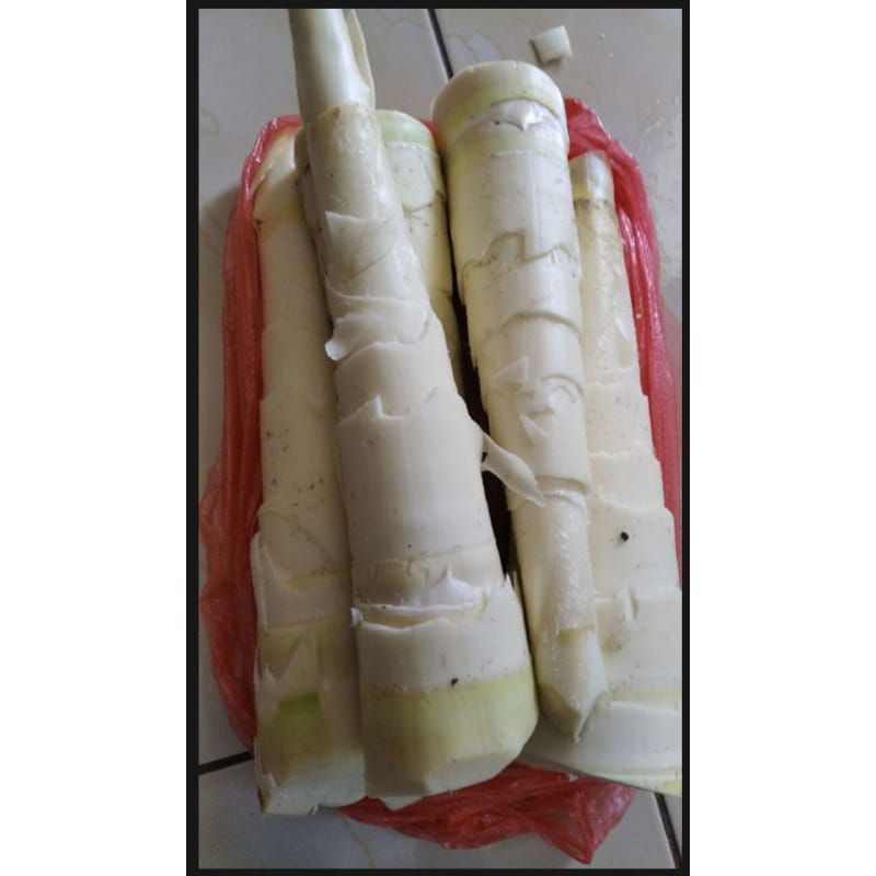

Rebung Muda Asli 1 Kg