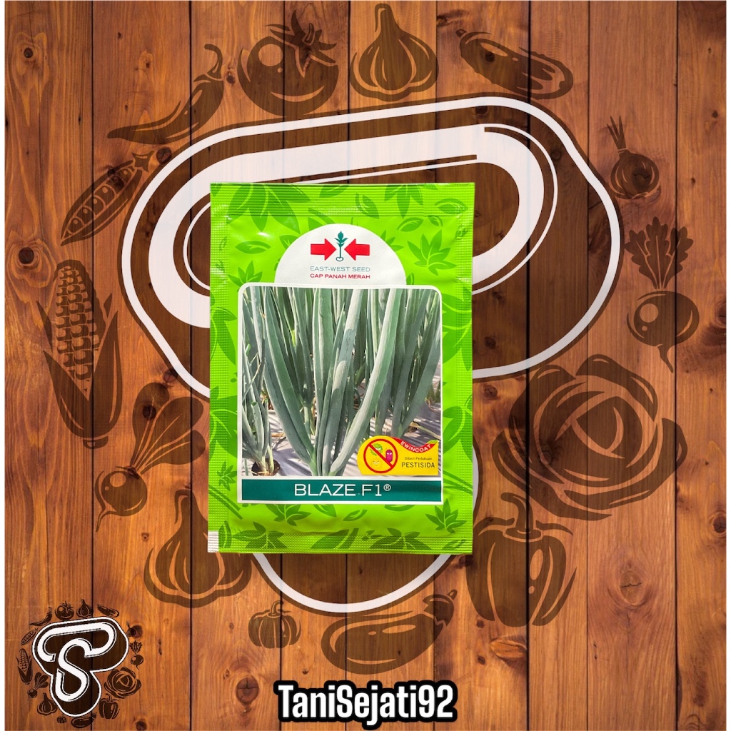 BENIH BAWANG DAUN BLAZE F1 10GR