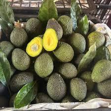

BUAH Alpukat Hass GRADE B | 1 KG | KUALITAS PREMIUM 100% GARANSI