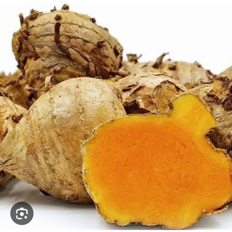 

INDUK TEMULAWAK / Biang Temulawak 1 KG