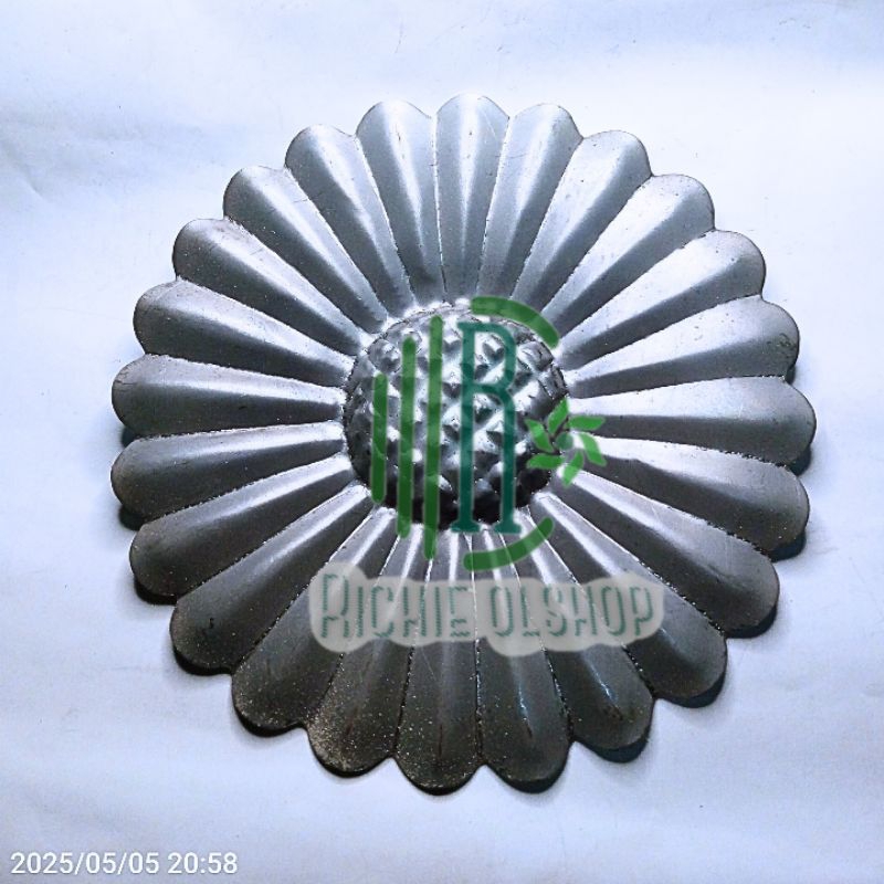 Bunga matahari jumbo & matahari kombet