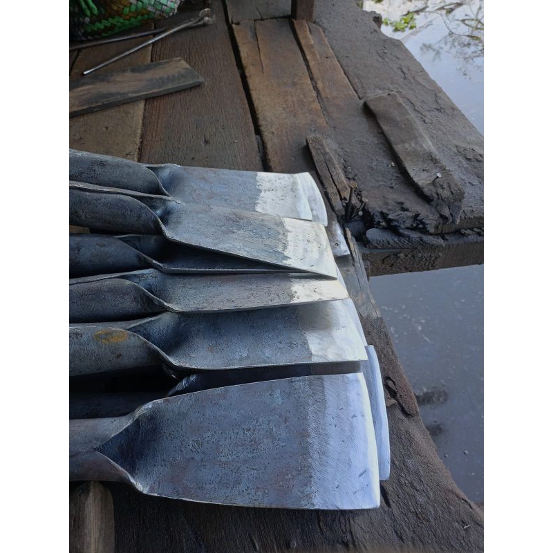 dodos sawit/dodos tanah