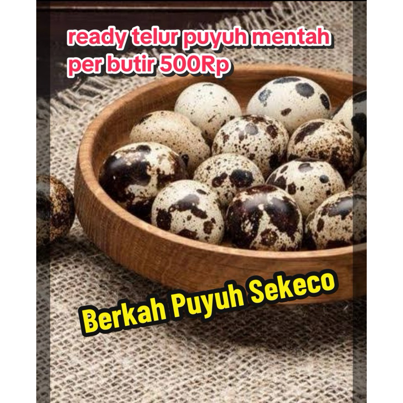 

Telur puyuh per butir