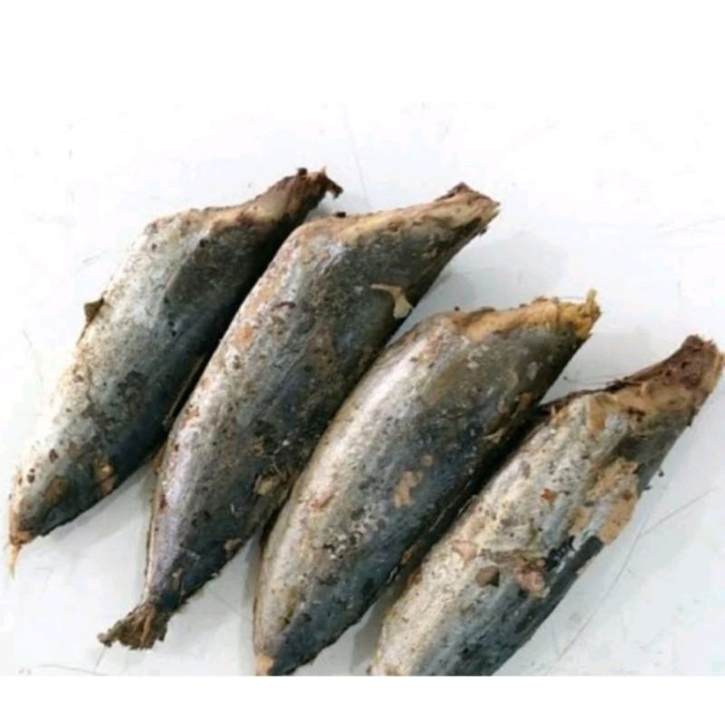 

Ikan tongkol pindang 1 ekor..