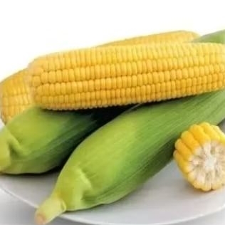 

Jagung Super Sayuran Segar per 1 pcs