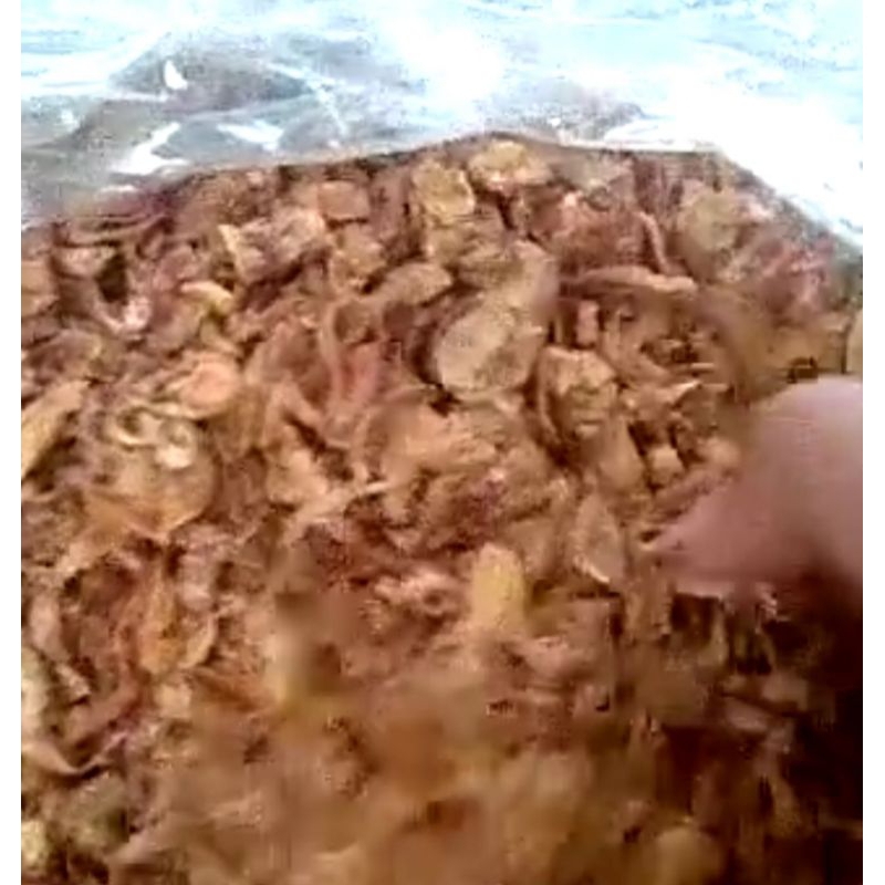 

Bawang goreng asli bawang brebes