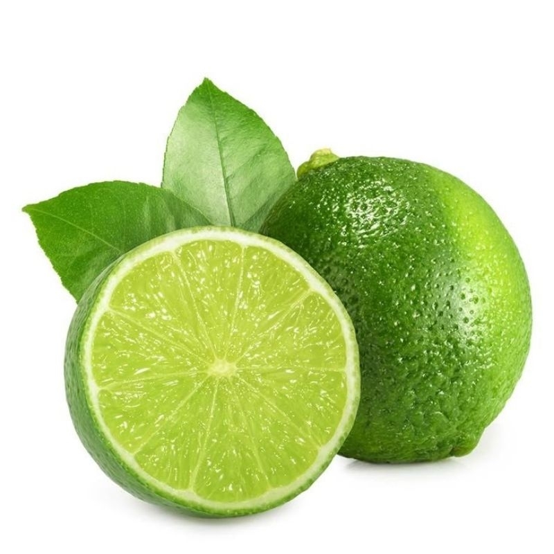 

JERUK NIPIS SEGAR • JERUK NIPIS