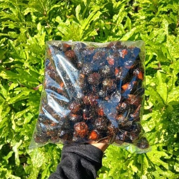 

Soap Nut / Lerak / Buah Lerak / Biji Lerak / Buah Lerak Untuk Sabun / Buah Lerak 1 kg / Buah Lerak 500 gr / Buah Lerak Untuk Sabun Batik / Buah Lerak Sabun Alami / Buah Lerak Organik