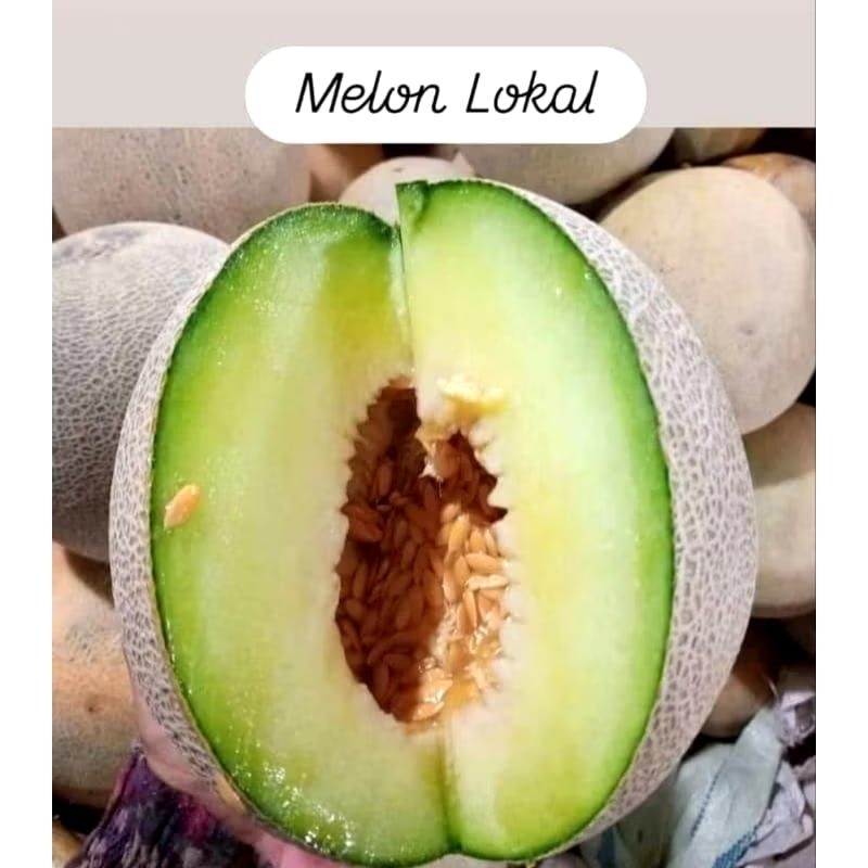 

melon lokal manis 1 butir