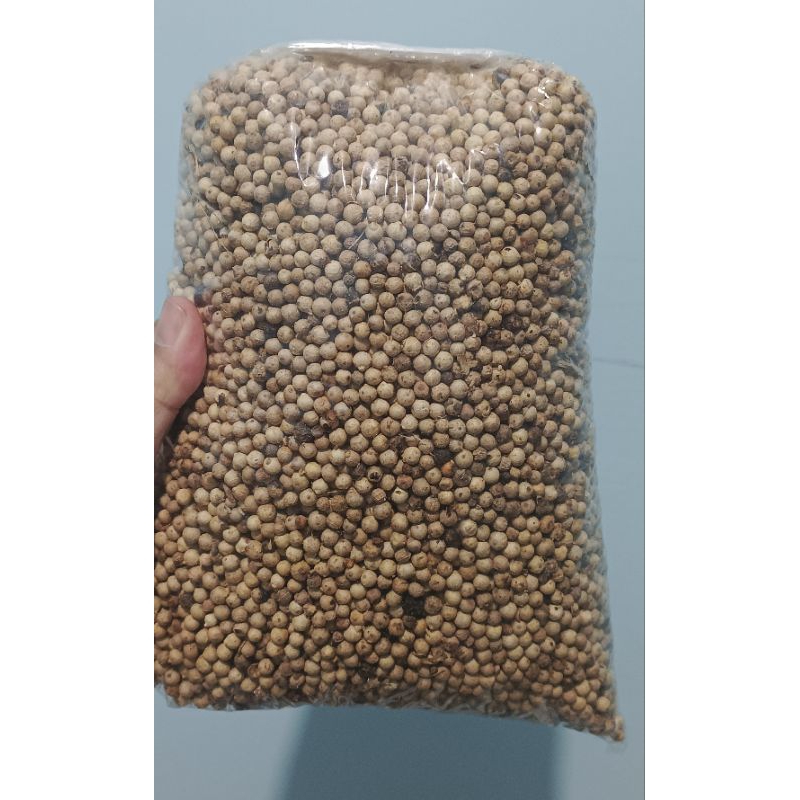 MERICA BUTIR/MERICA PUTIH/LADA PUTIH 1KG TERMURAH