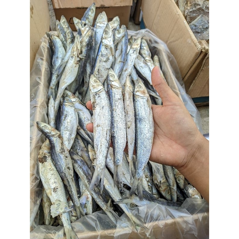 

ikan asin japuh