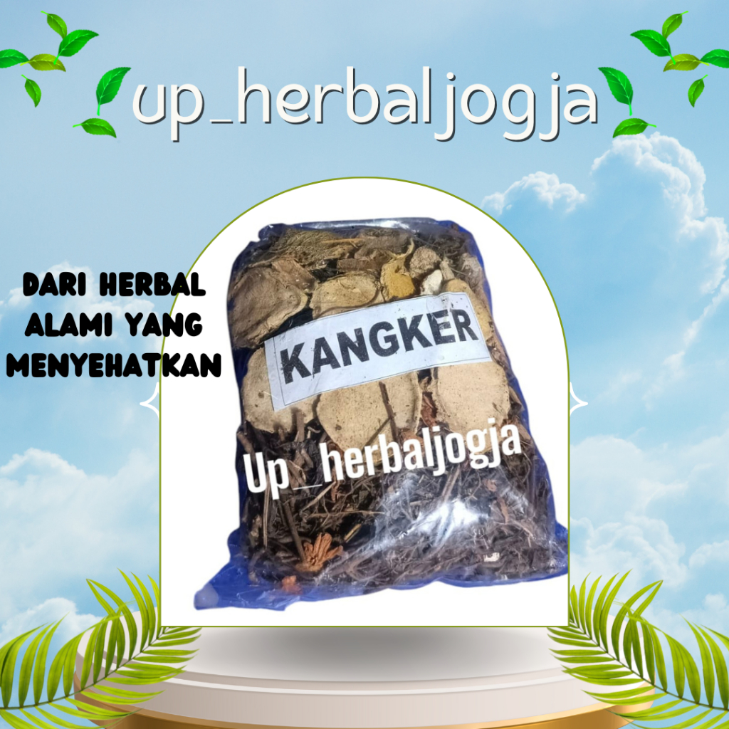 

Kangker / Herbal Alami Yang Menyehatkan/ jamu godog/ jamu herbal