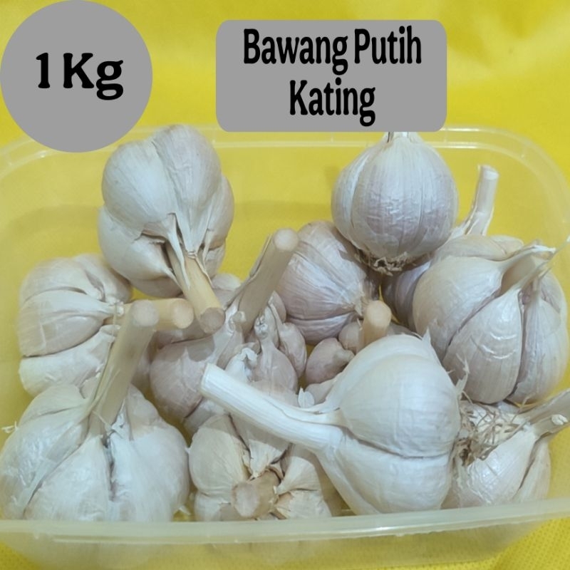

BAWANG PUTIH KATING 1 KG MURAH - BERSIH - KERING - BUMBU DAPUR