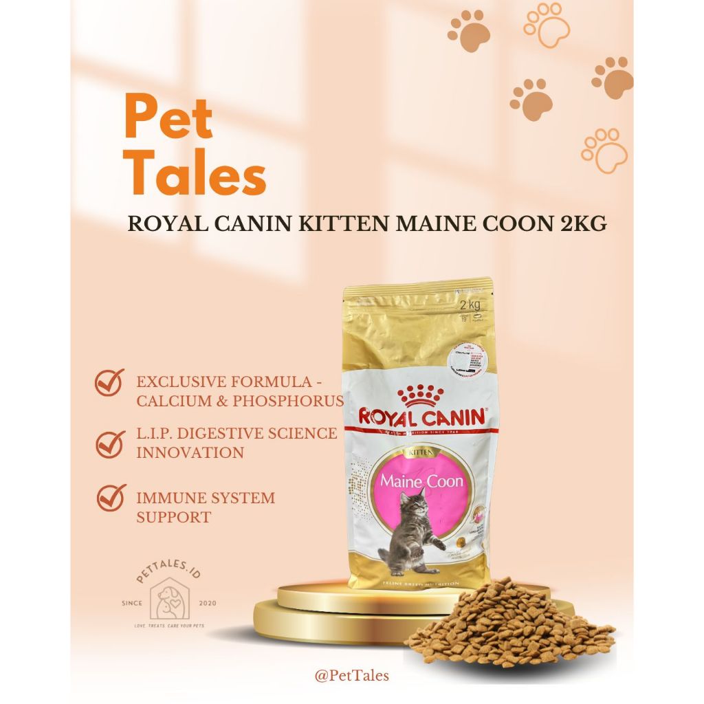 Royal Canin Kitten Maine Coon 2kg