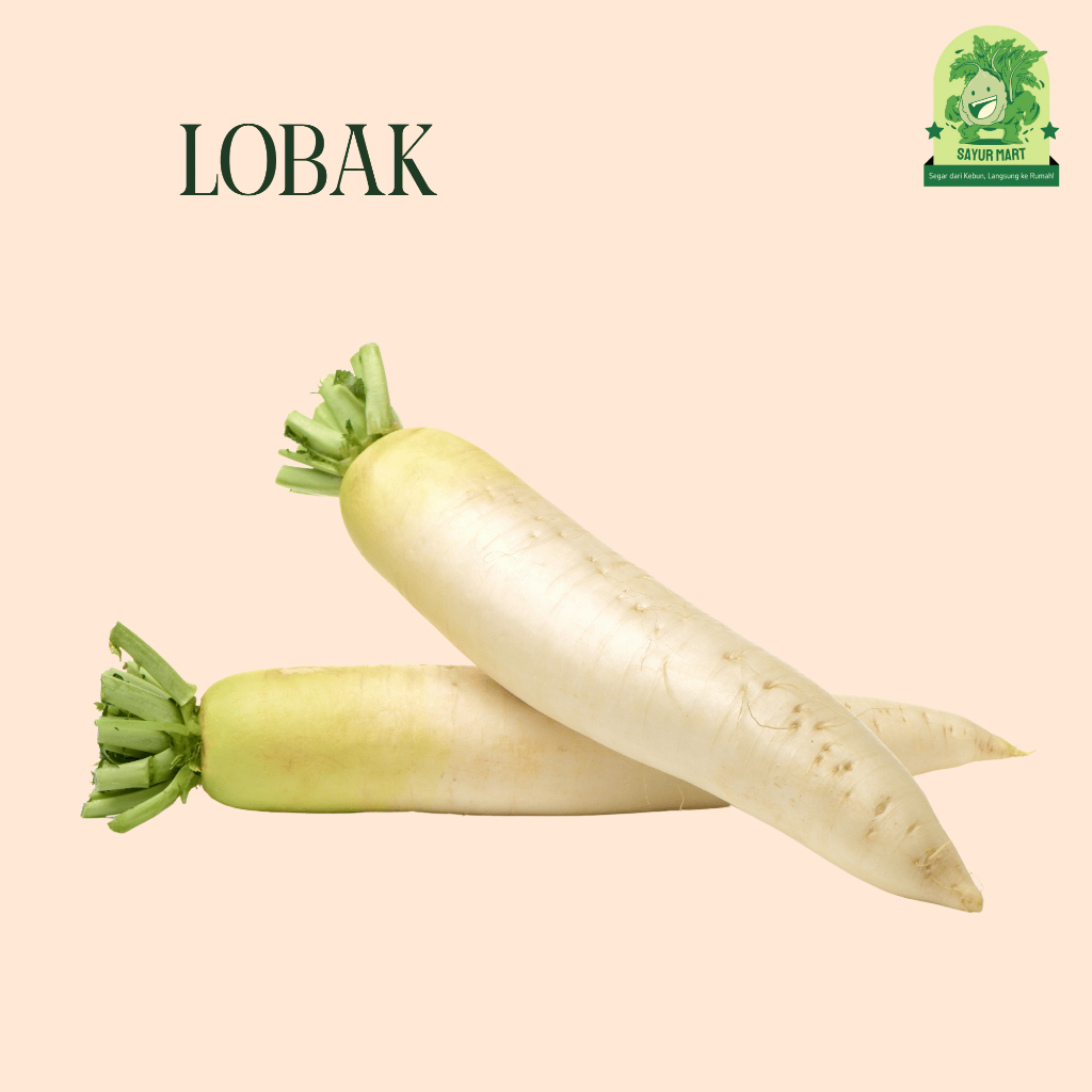 

Lobak 500 Gram