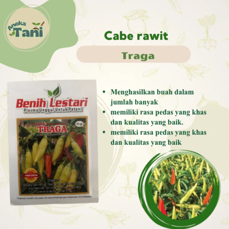 Benih Cabai Rawit Traga 10gr - Benih Lestari