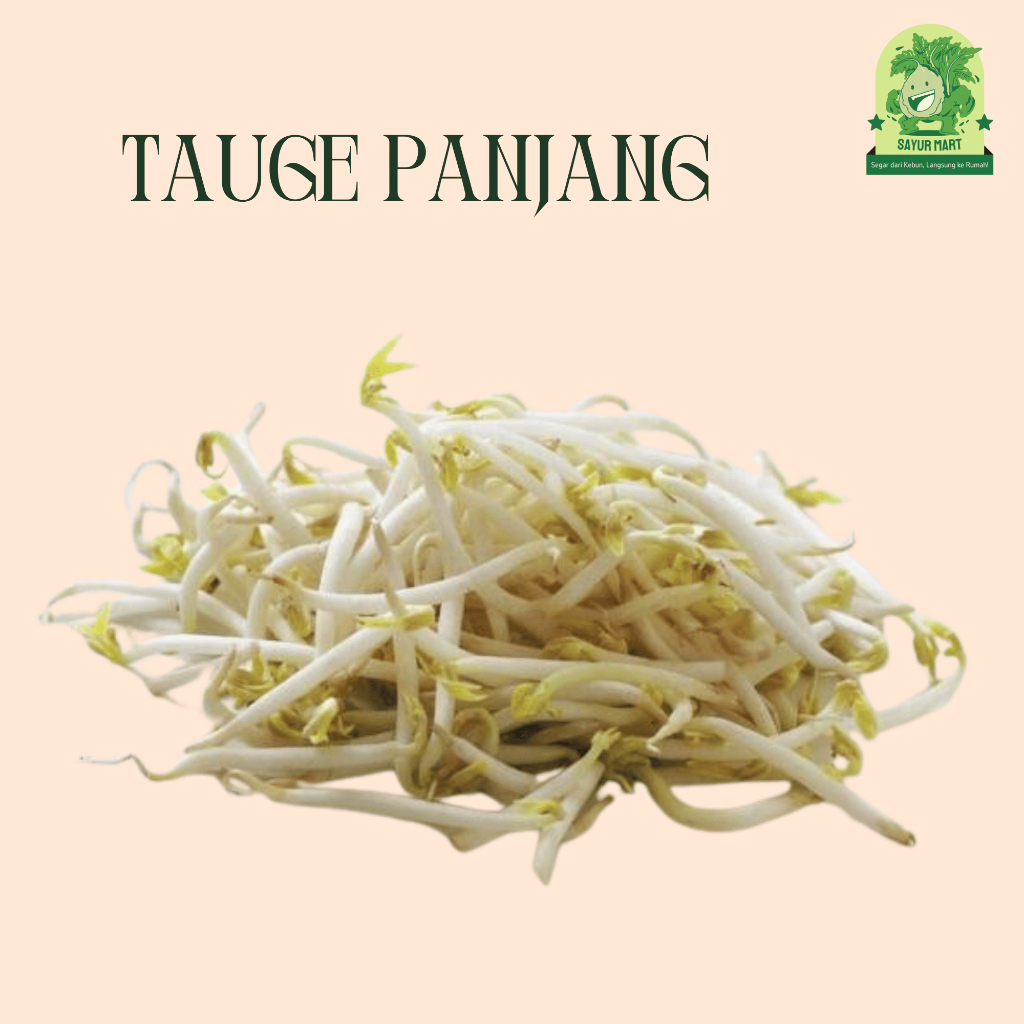 

Tauge Panjang 100 Gram
