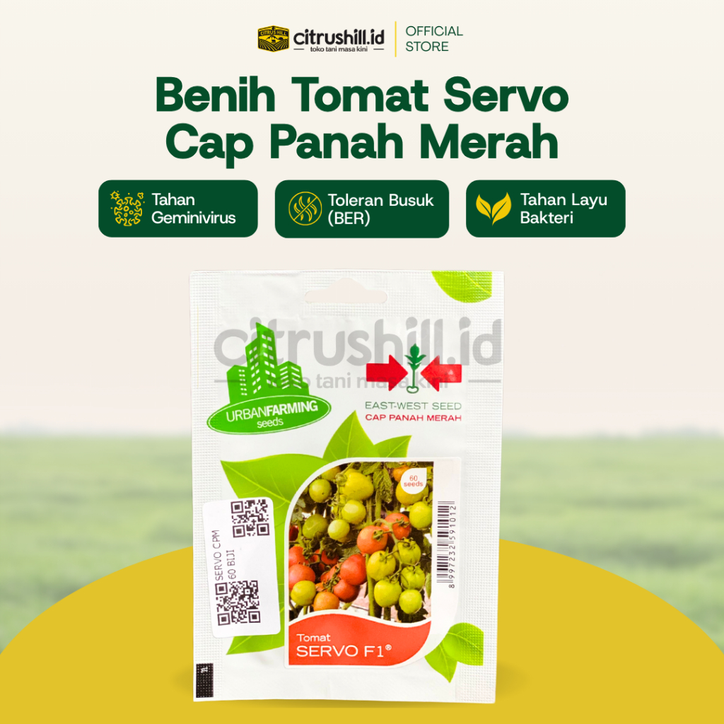 BENIH TOMAT HIBRIDA SERVO F1 CAP PANAH MERAH -+1.750benih