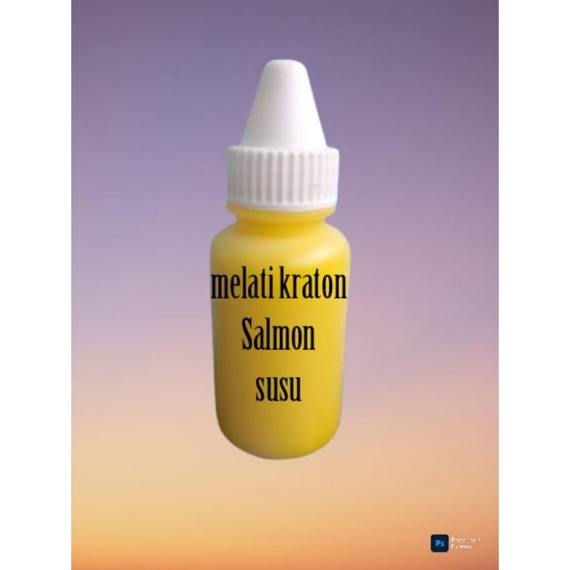 essen oplosan ikan mas melati kraton susu salmon special sultan indukan rame  lomba harian galapung