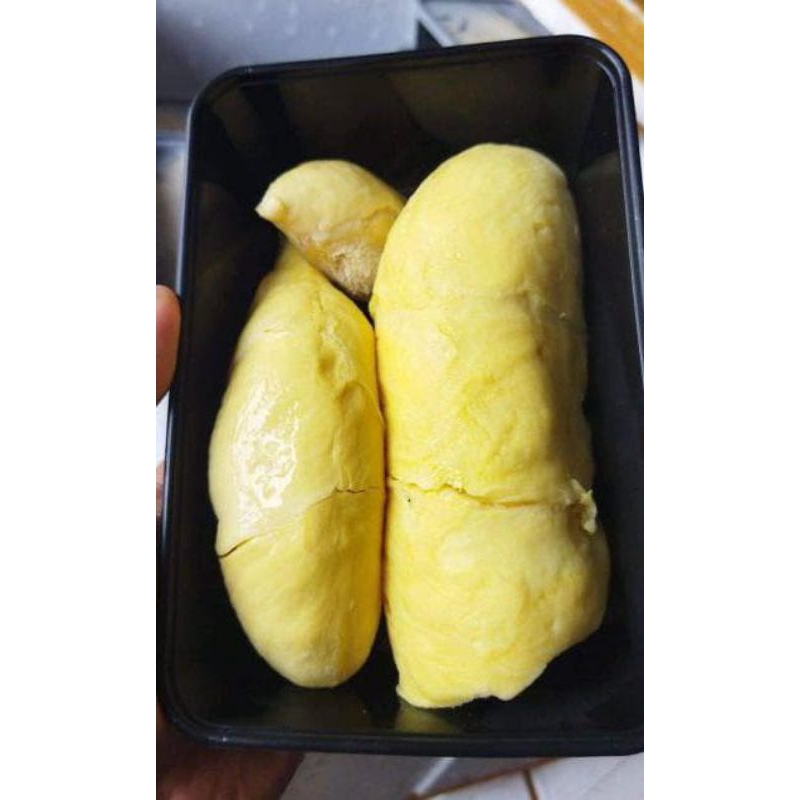 

durian monthong premium frozen +- 500 gr