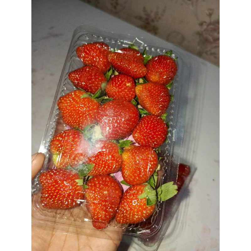 

1 CUP STROBERY FRESH GRADE AB JUMBO | 1KG BLACKBERRY FROZEN | MULBERRY FROZEN | STROBERY FROZEN GRADE A | STRAWBERRY FROZEN | FROZEN FRUITS | STROBERY MURAH | BUAH FROZEN