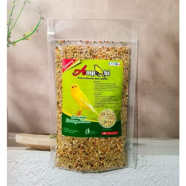 READY LANGSUNG KIRIM AMPIBI AMPHIBI PAKAN KENARI AMPIBI PAKAN HARIAN SAMPAI LOMBA