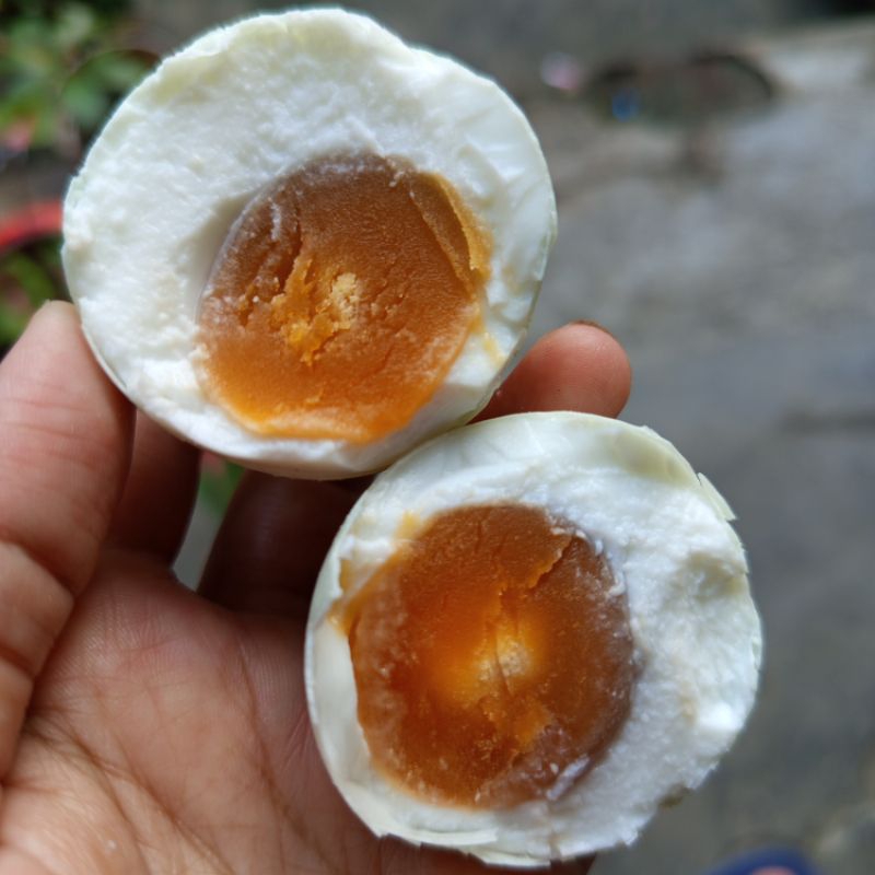 

TELUR ASIN sedang