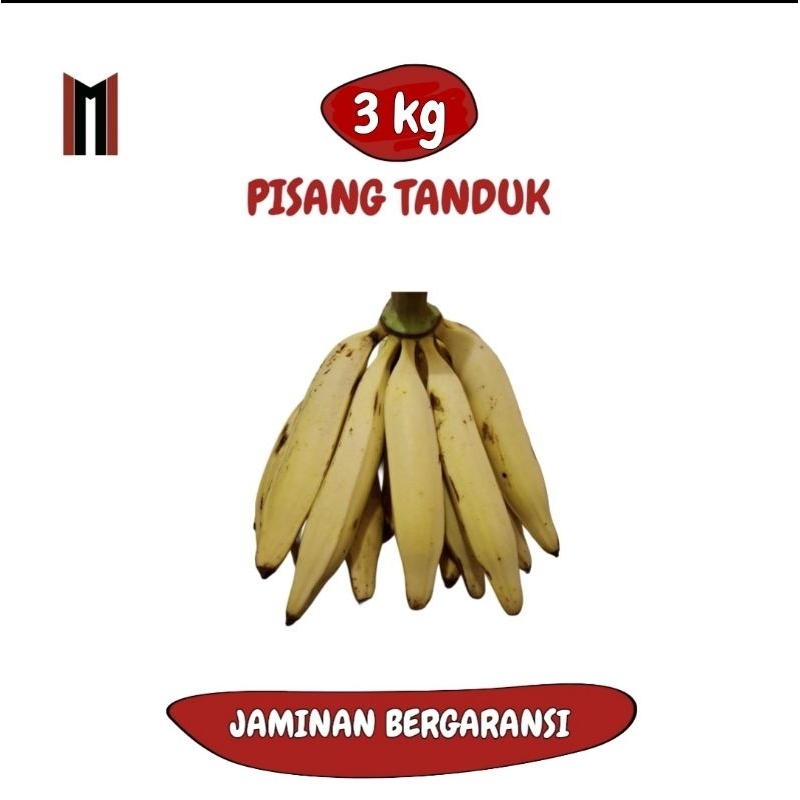 

(3KG) PISANG TANDUK/BYAR JUMBO ASLI PATIAYAM