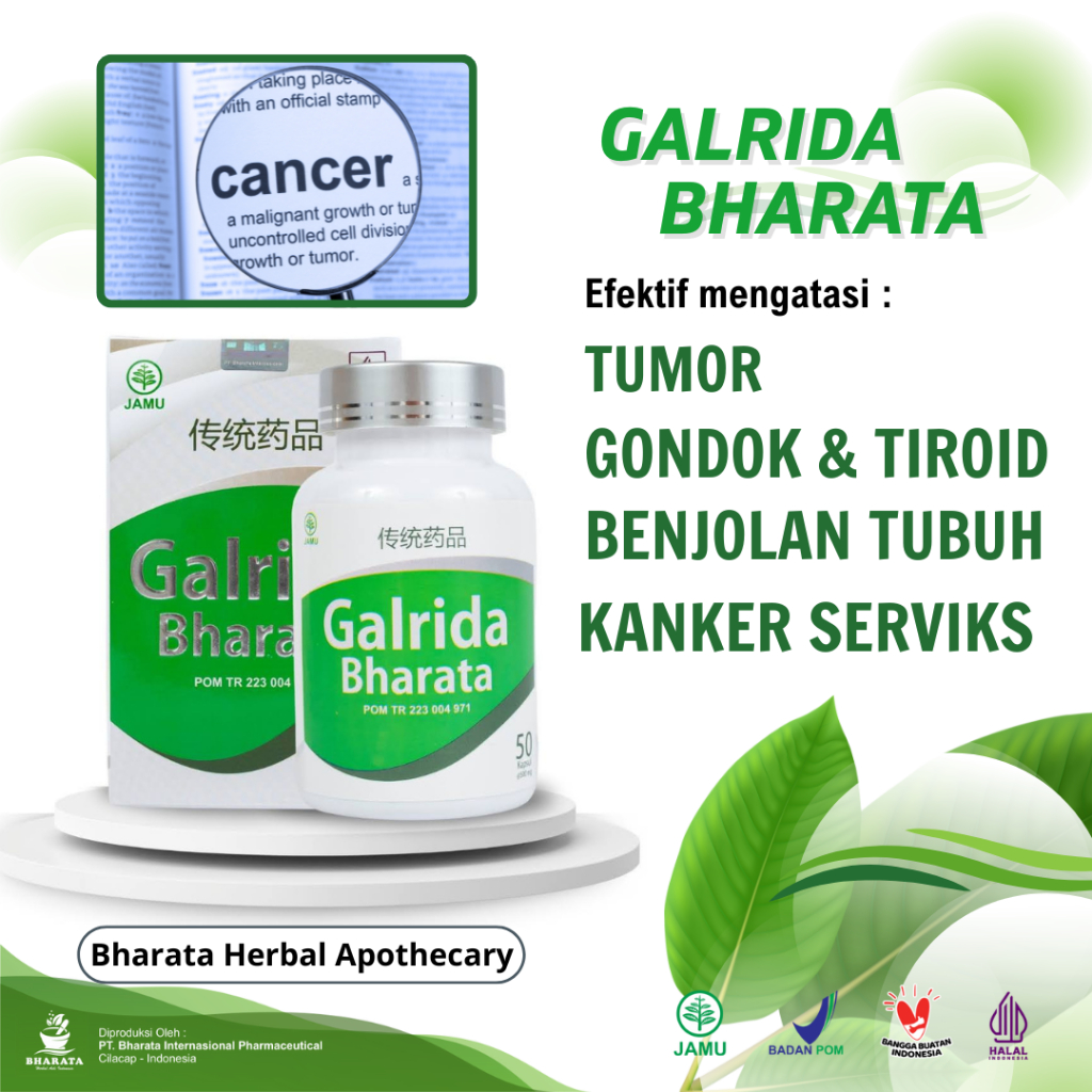 Obat herbal Kanker Payudara – Kanker Rahim – Kanker Serviks – Kanker Hati – Kanker Usus Galrida bhar