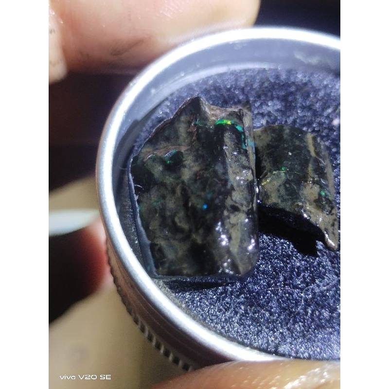 black opal sempur