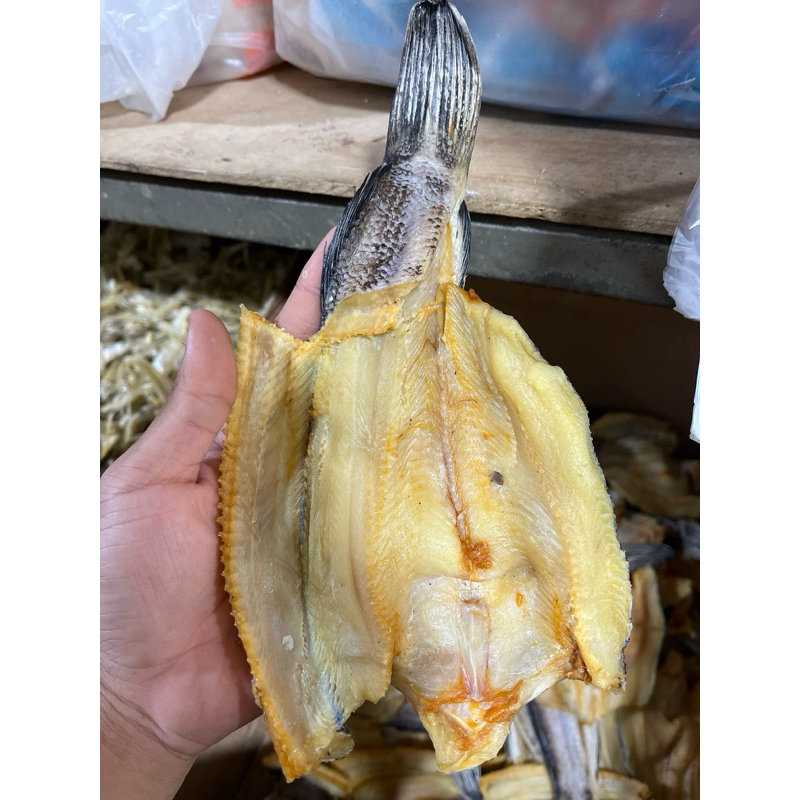 

Gabus Asin Ukuran besar 500gr