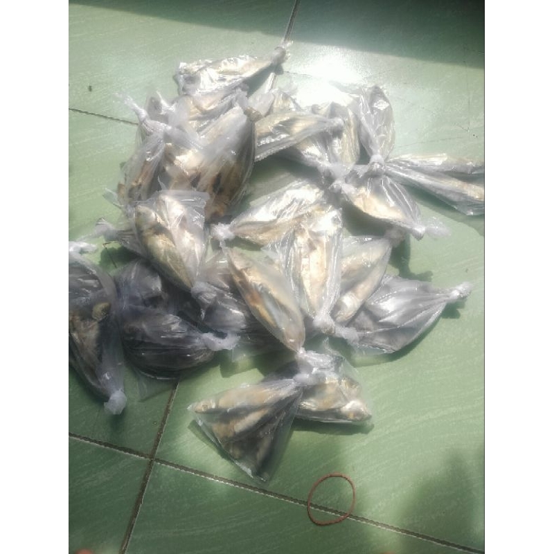 

Ikan Asin Peda Putih|Peda Putih|Ikan asin Peda Putih fresh