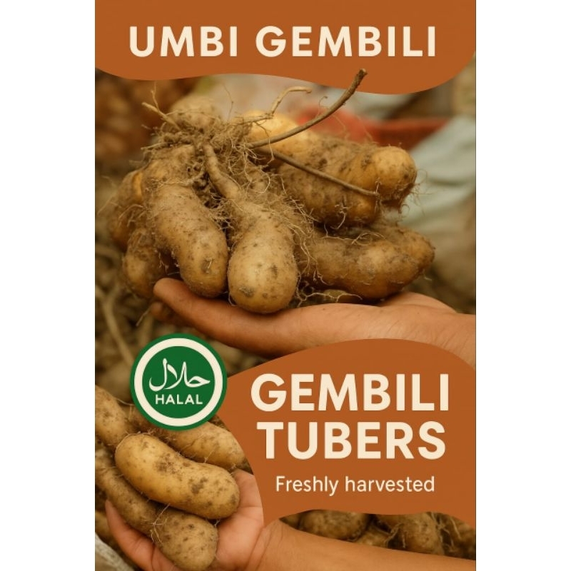

Ubi Kentang Hitam Fresh Makanan Tradisional 1kg