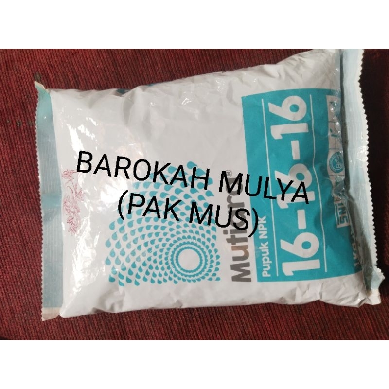 NPK1616