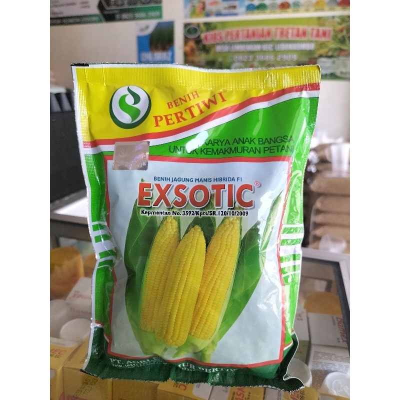 

EXSOTIC (250gr) - Benih Jagung Manis Hibrida F1