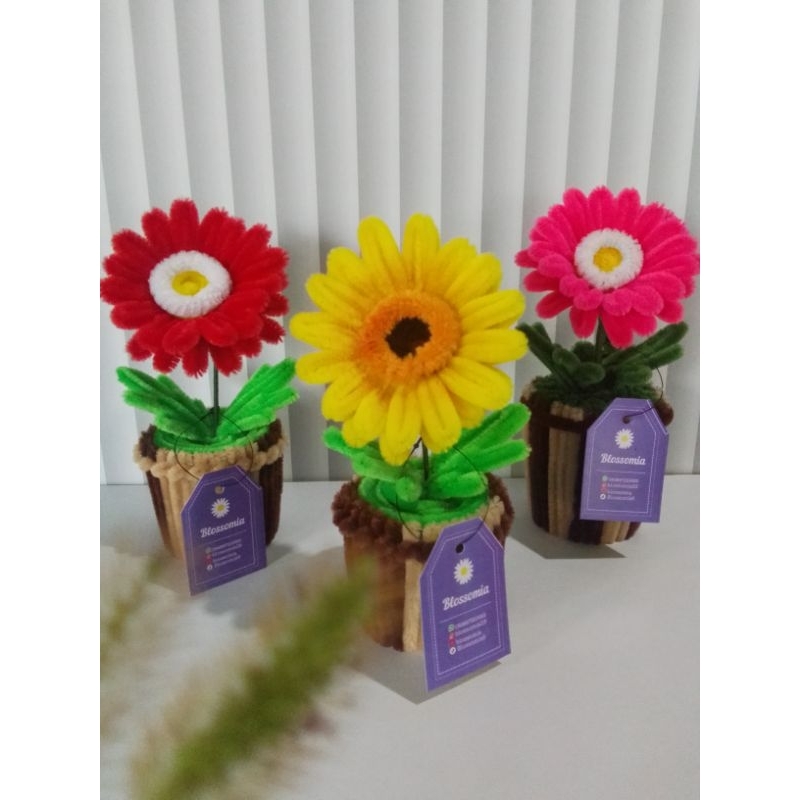 Bunga Garbera Kawat Bulu| Garbera Flower Pot| Garbera Kawat Bulu| Bunga Lucu Garbera| Pipe Cleaner